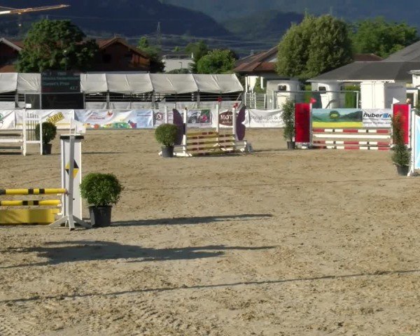 Reitturnier Rankweil 2024