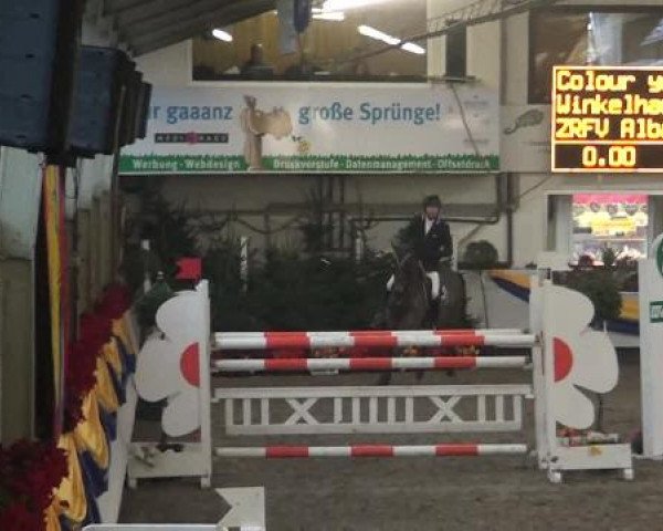 Reitturnier Vreden 2013