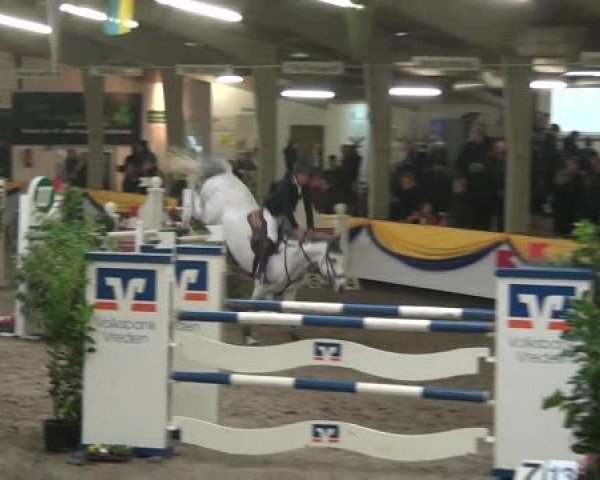 Reitturnier Vreden 2013
