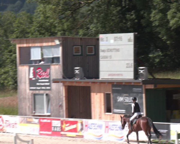Springturnier Seewalchen 2024