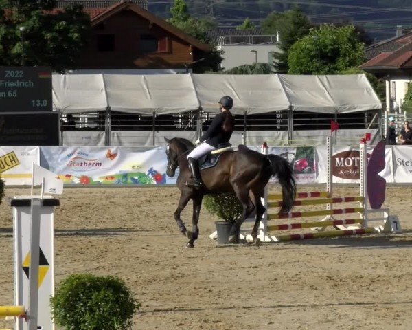 Reitturnier Rankweil 2024