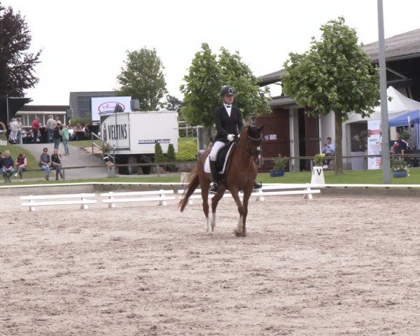 Reitturnier Fröndenberg 2024