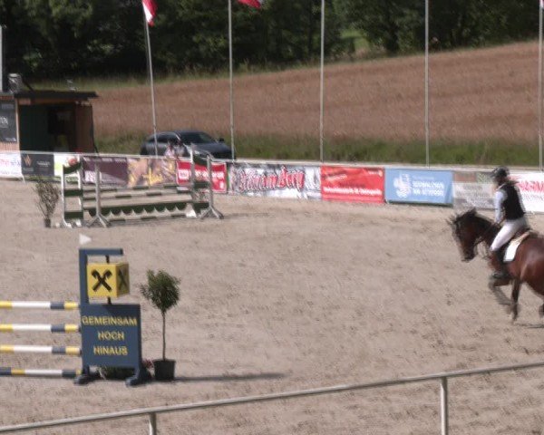 Springturnier Seewalchen 2024