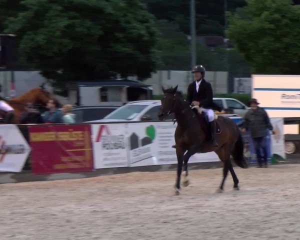 Reitturnier Balsthal 2024