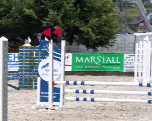 Reitturnier Balsthal 2024