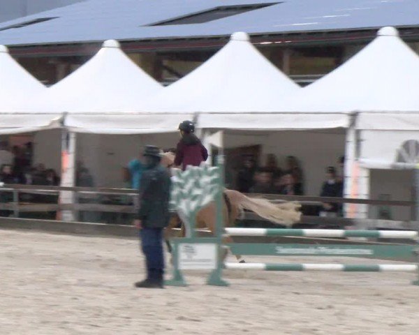 Reitturnier Balsthal 2024