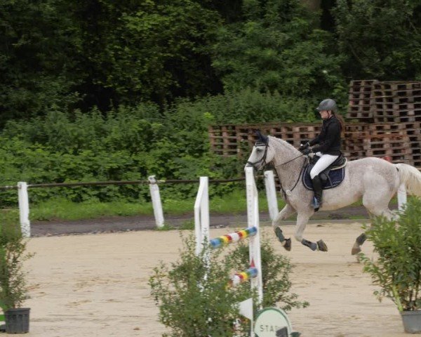 Reitturnier Heddesheim 2024