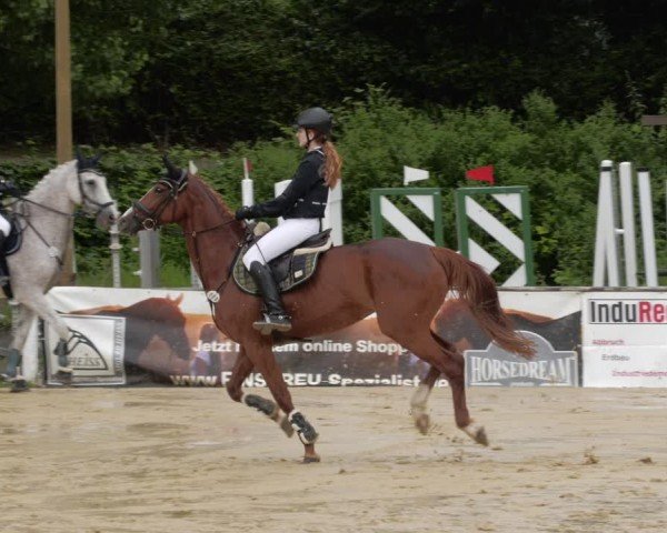 Reitturnier Heddesheim 2024