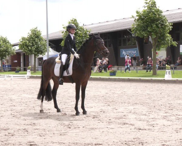 Reitturnier Fröndenberg 2024