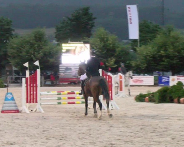 Reitturnier Balsthal 2024