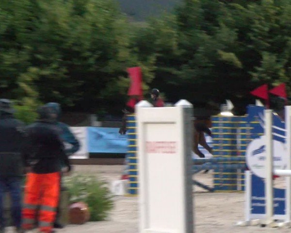 Reitturnier Balsthal 2024