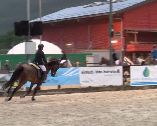 Reitturnier Balsthal 2024