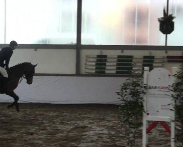 Reitturnier Südlohn-Oeding 2013