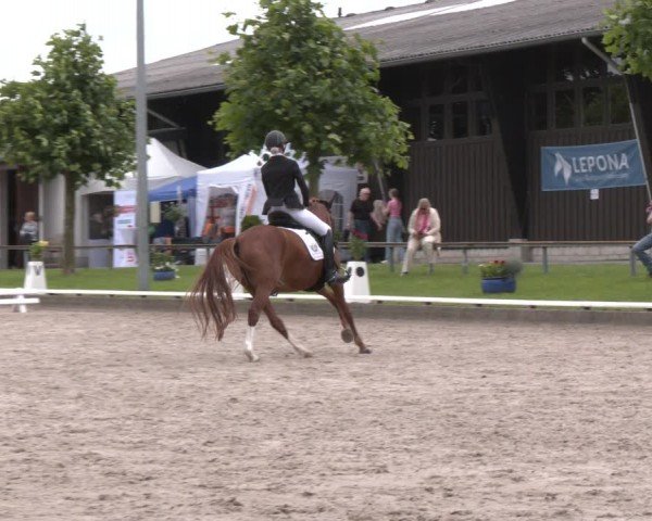 Reitturnier Fröndenberg 2024