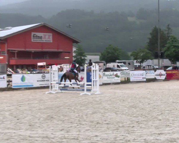 Reitturnier Balsthal 2024