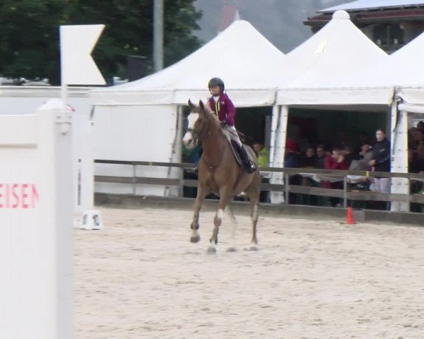 Reitturnier Balsthal 2024