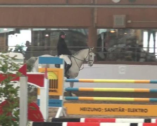 Reitturnier Südlohn-Oeding 2013