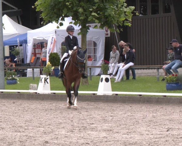 Reitturnier Fröndenberg 2024