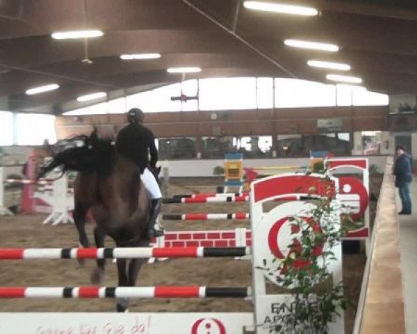 Reitturnier Südlohn-Oeding 2013