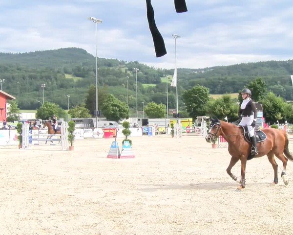 Reitturnier Balsthal 2024