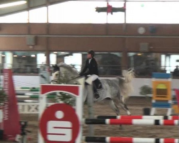 Reitturnier Südlohn-Oeding 2013