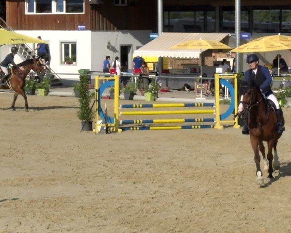 Reitturnier Rankweil 2024