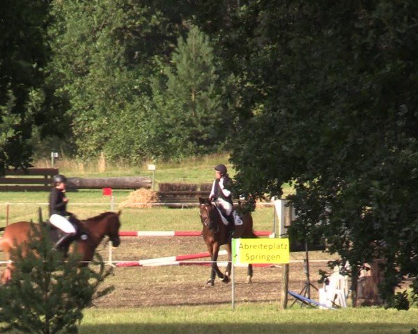 Reitturnier Niederwerbig 2024