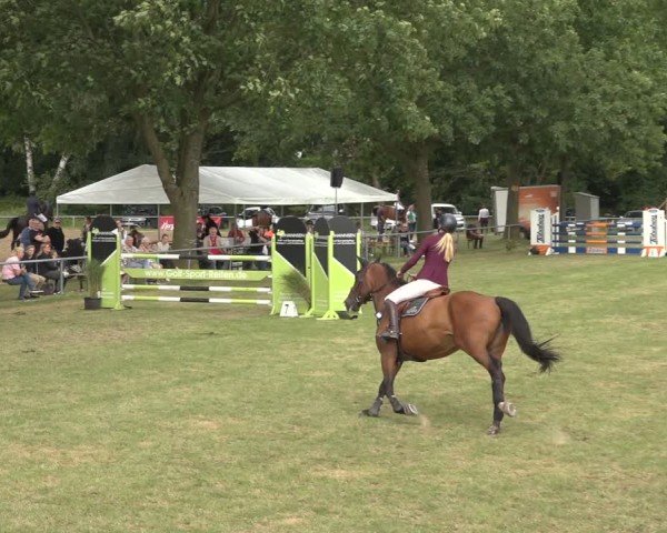 Reitturnier Wohlesbostel 2024