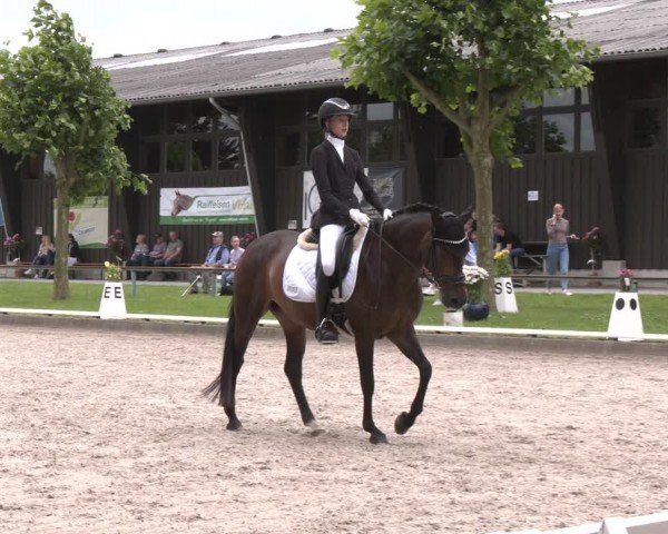 Reitturnier Fröndenberg 2024