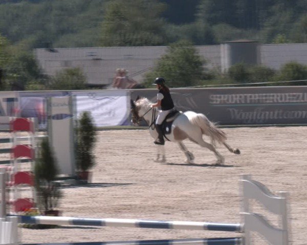 Springturnier Seewalchen 2024