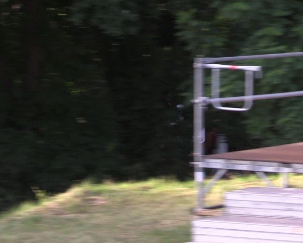 Reitturnier Niederwerbig 2024
