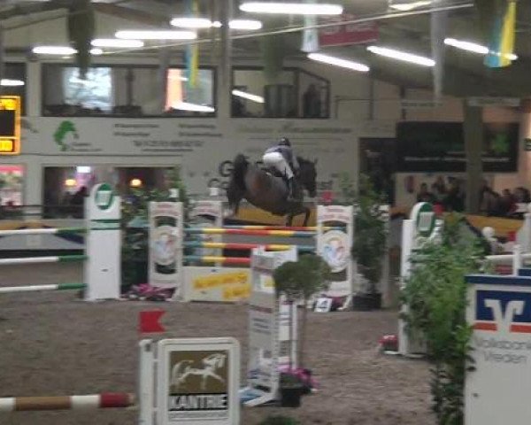 Reitturnier Vreden 2013