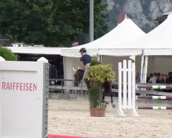 Reitturnier Balsthal 2024