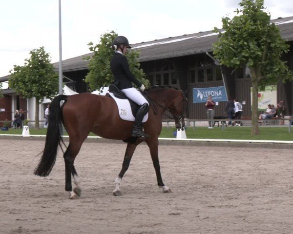 Reitturnier Fröndenberg 2024