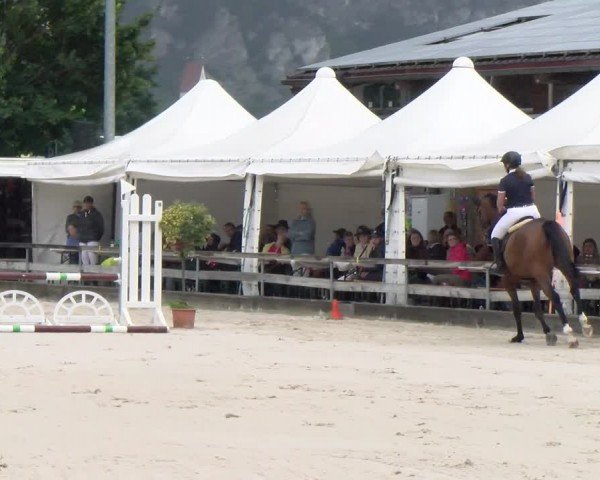 Reitturnier Balsthal 2024