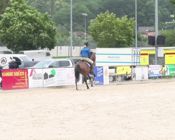 Reitturnier Balsthal 2024