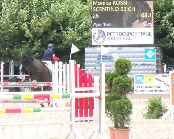 Reitturnier Balsthal 2024