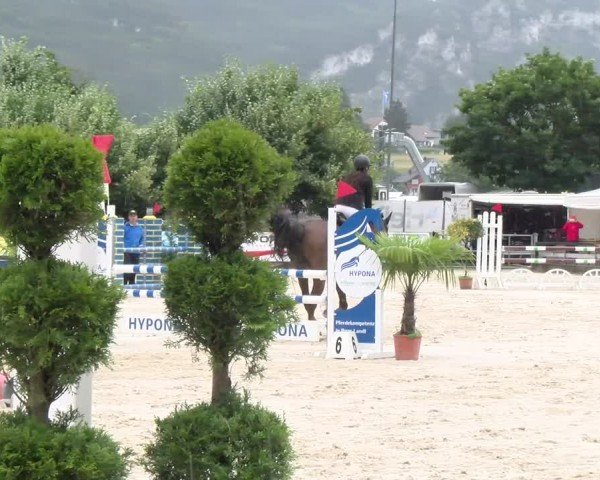 Torneo Equestre Balsthal 2024