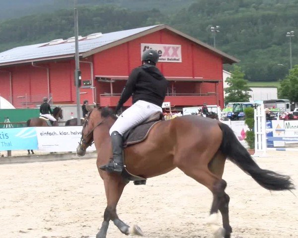 Reitturnier Balsthal 2024