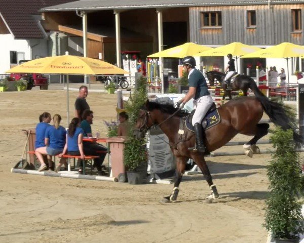 Reitturnier Rankweil 2024