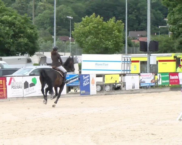 Reitturnier Balsthal 2024