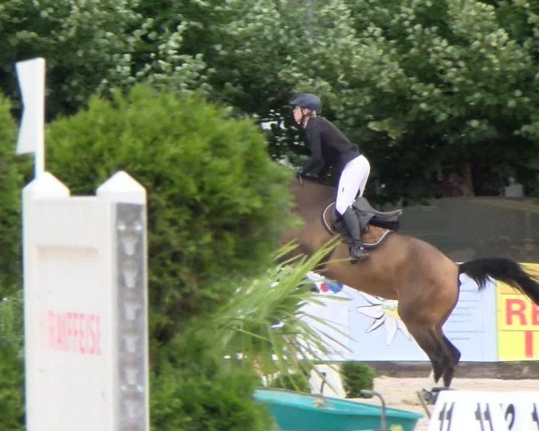 Reitturnier Balsthal 2024