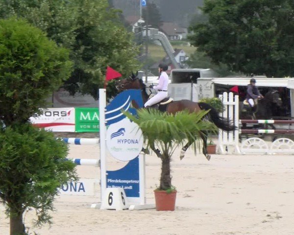 Reitturnier Balsthal 2024