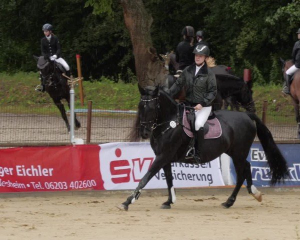 Reitturnier Heddesheim 2024