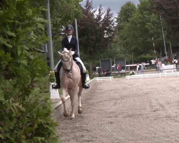 Reitturnier Fröndenberg 2024
