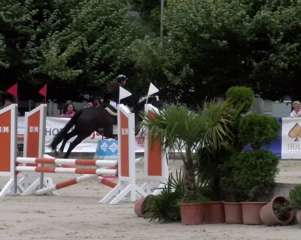 Reitturnier Balsthal 2024