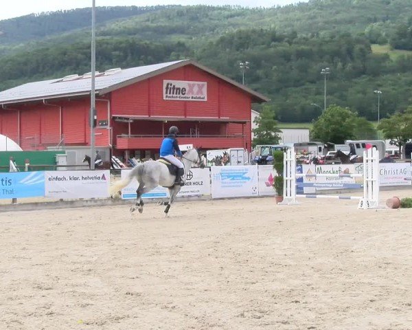 Reitturnier Balsthal 2024