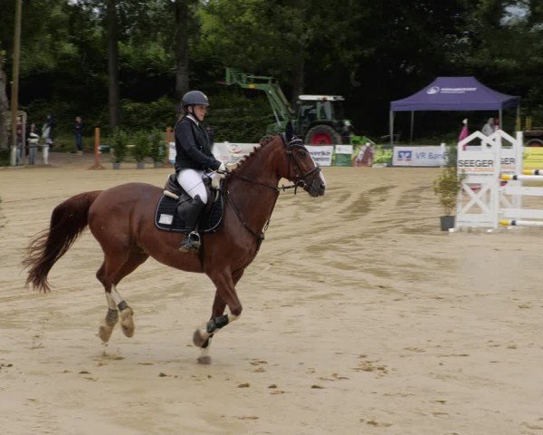 Reitturnier Heddesheim 2024
