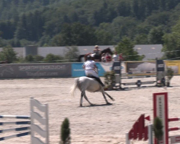 Springturnier Seewalchen 2024