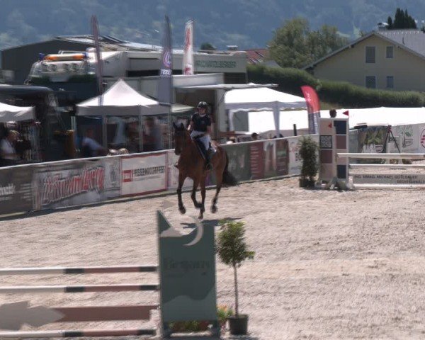 Springturnier Seewalchen 2024
